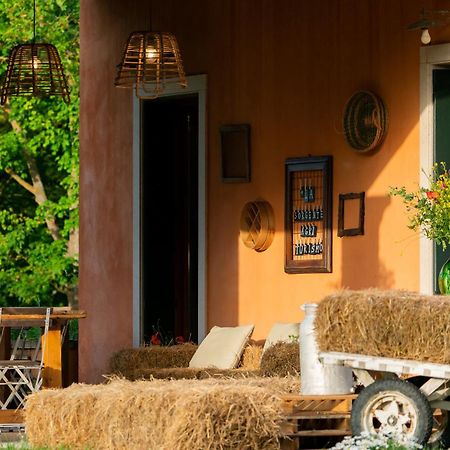 Agriturismo La Sorgente 卡梅拉诺 外观 照片