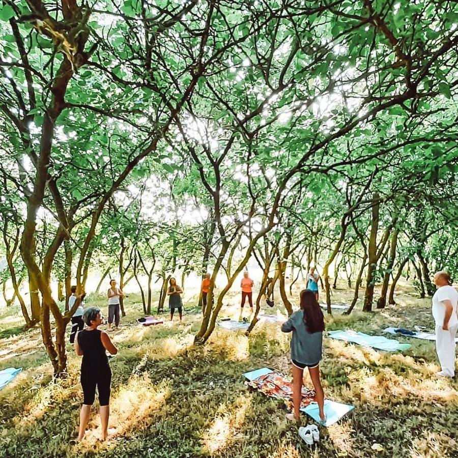 Agriturismo La Sorgente 卡梅拉诺 外观 照片