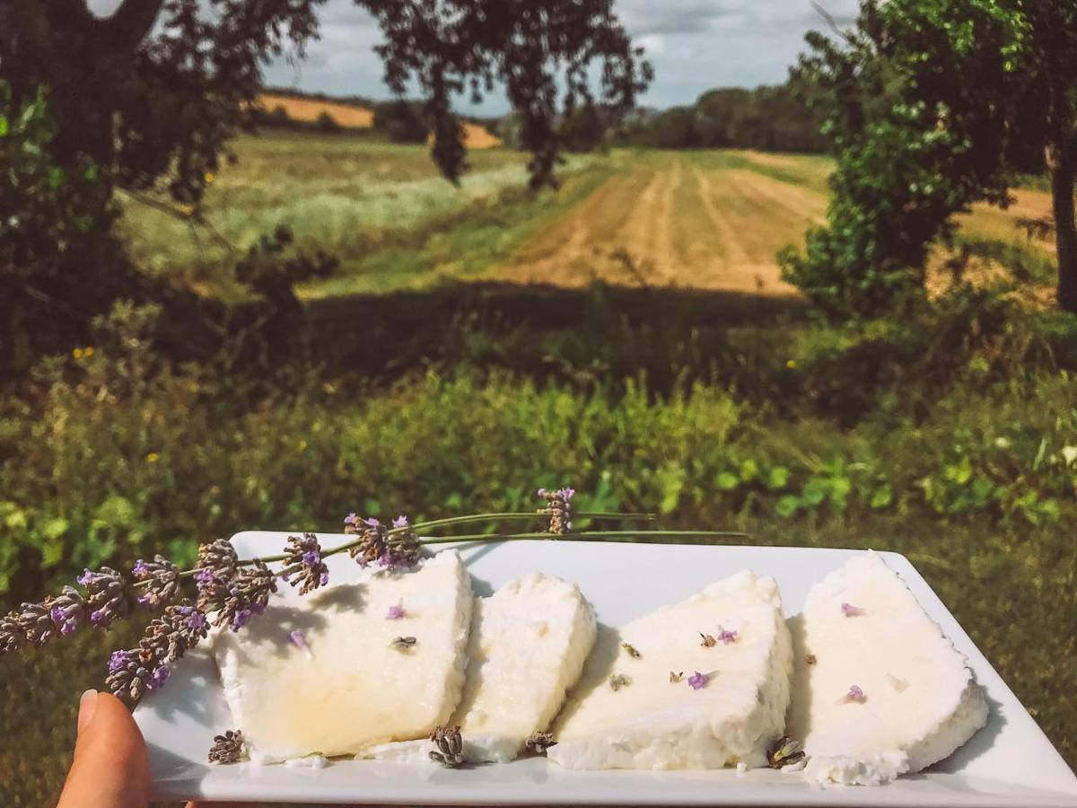 Agriturismo La Sorgente 卡梅拉诺 外观 照片