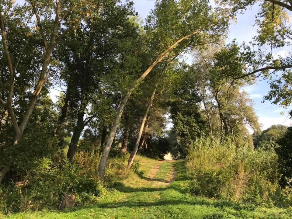 Agriturismo La Sorgente 卡梅拉诺 外观 照片