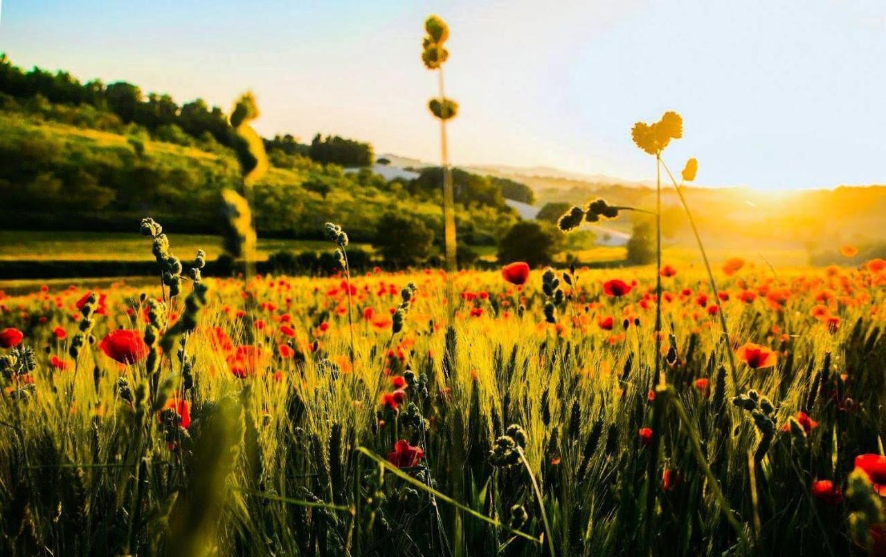 Agriturismo La Sorgente 卡梅拉诺 外观 照片