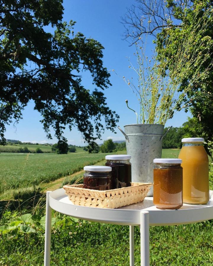 Agriturismo La Sorgente 卡梅拉诺 外观 照片