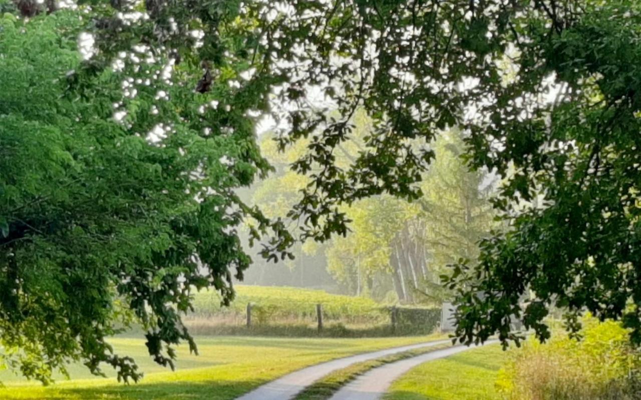 Agriturismo La Sorgente 卡梅拉诺 外观 照片