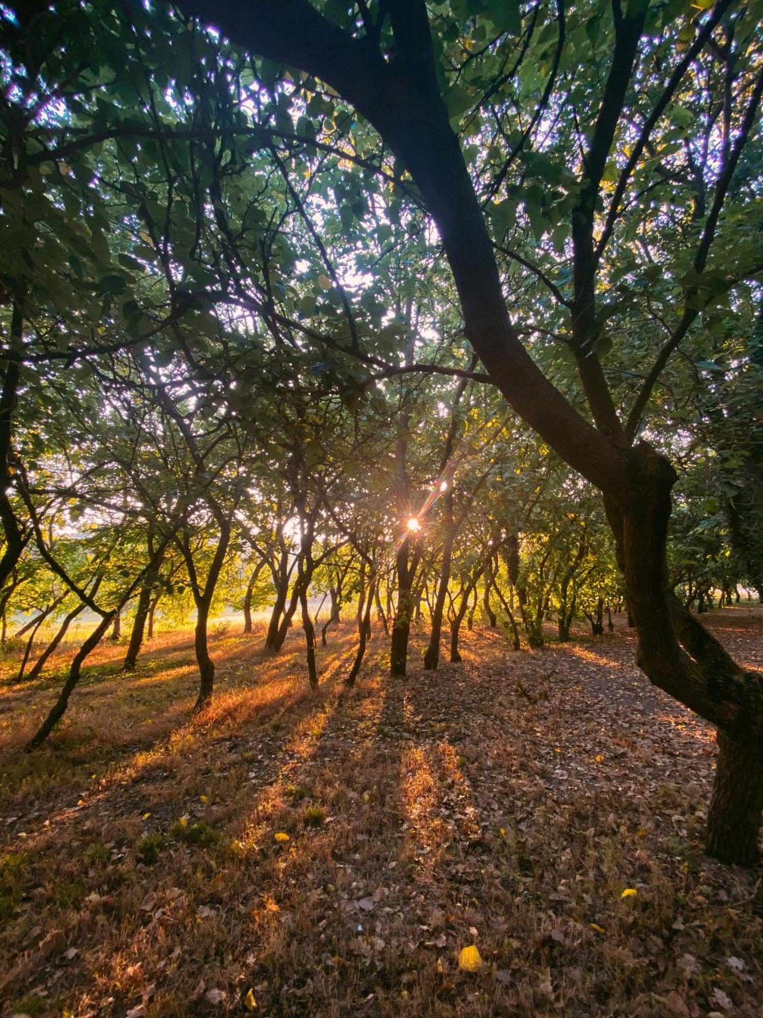 Agriturismo La Sorgente 卡梅拉诺 外观 照片