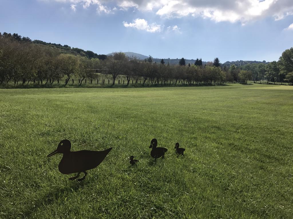 Agriturismo La Sorgente 卡梅拉诺 外观 照片