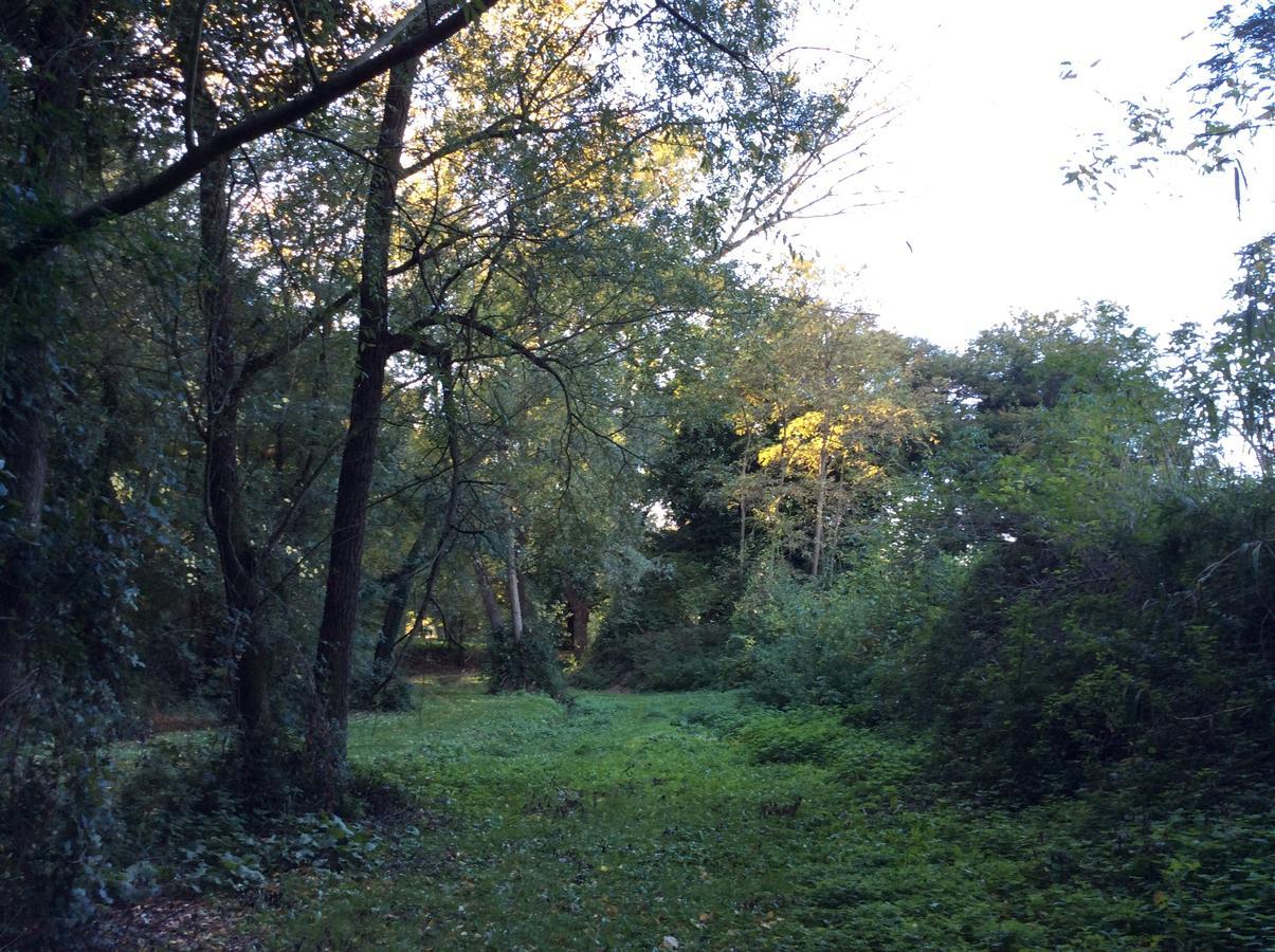 Agriturismo La Sorgente 卡梅拉诺 外观 照片