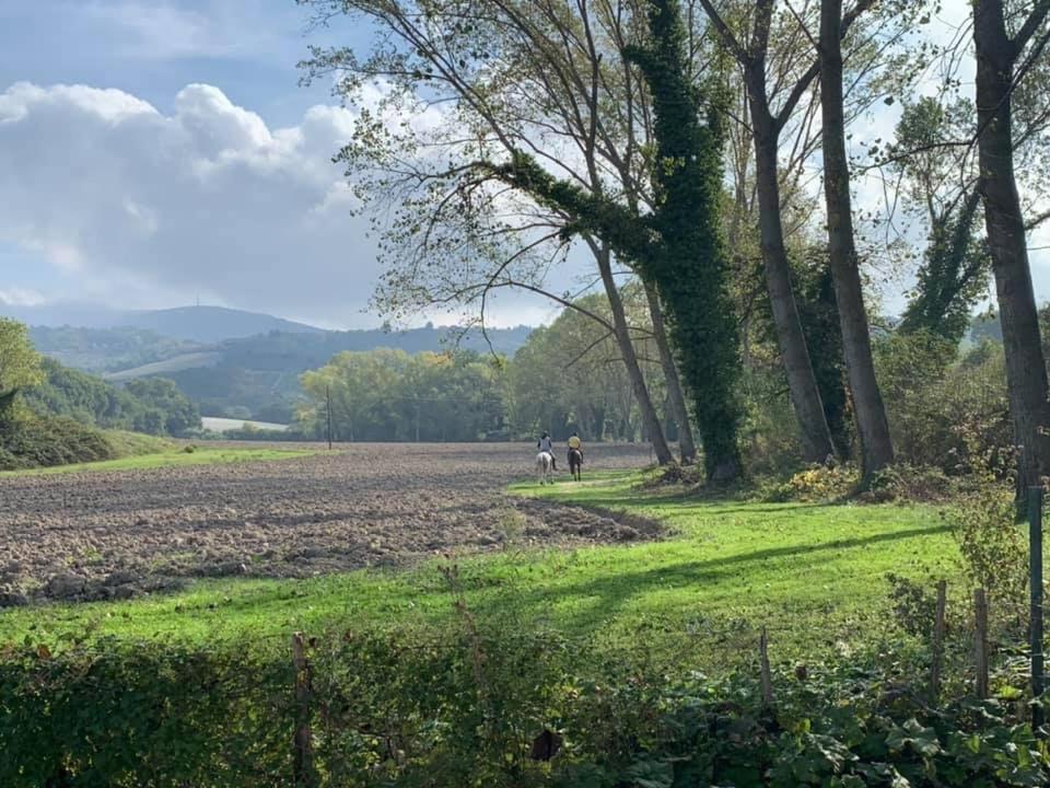Agriturismo La Sorgente 卡梅拉诺 外观 照片